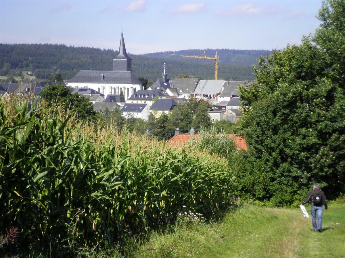 Weißenstadt Ferienwohnung Am Weissenstaedter See מראה חיצוני תמונה